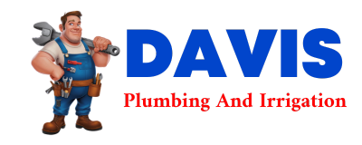 Trusted plumber in THONOTOSASSA